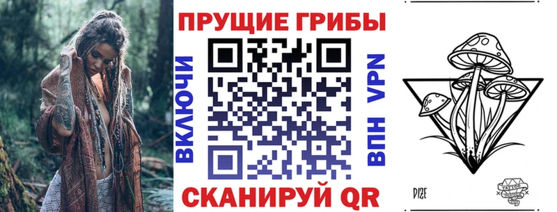 сколько стоит Ельня Псилоцибиновые грибы мицелий